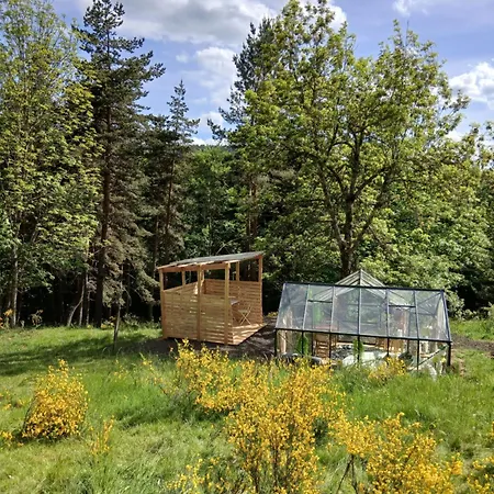 Ferienhaus Insolite 12 Personnes Bain Nordique Et Sauna En Pleine Nature Laussonne